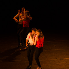 d7k_0816_carrysize_cr_44459878704_o.jpg